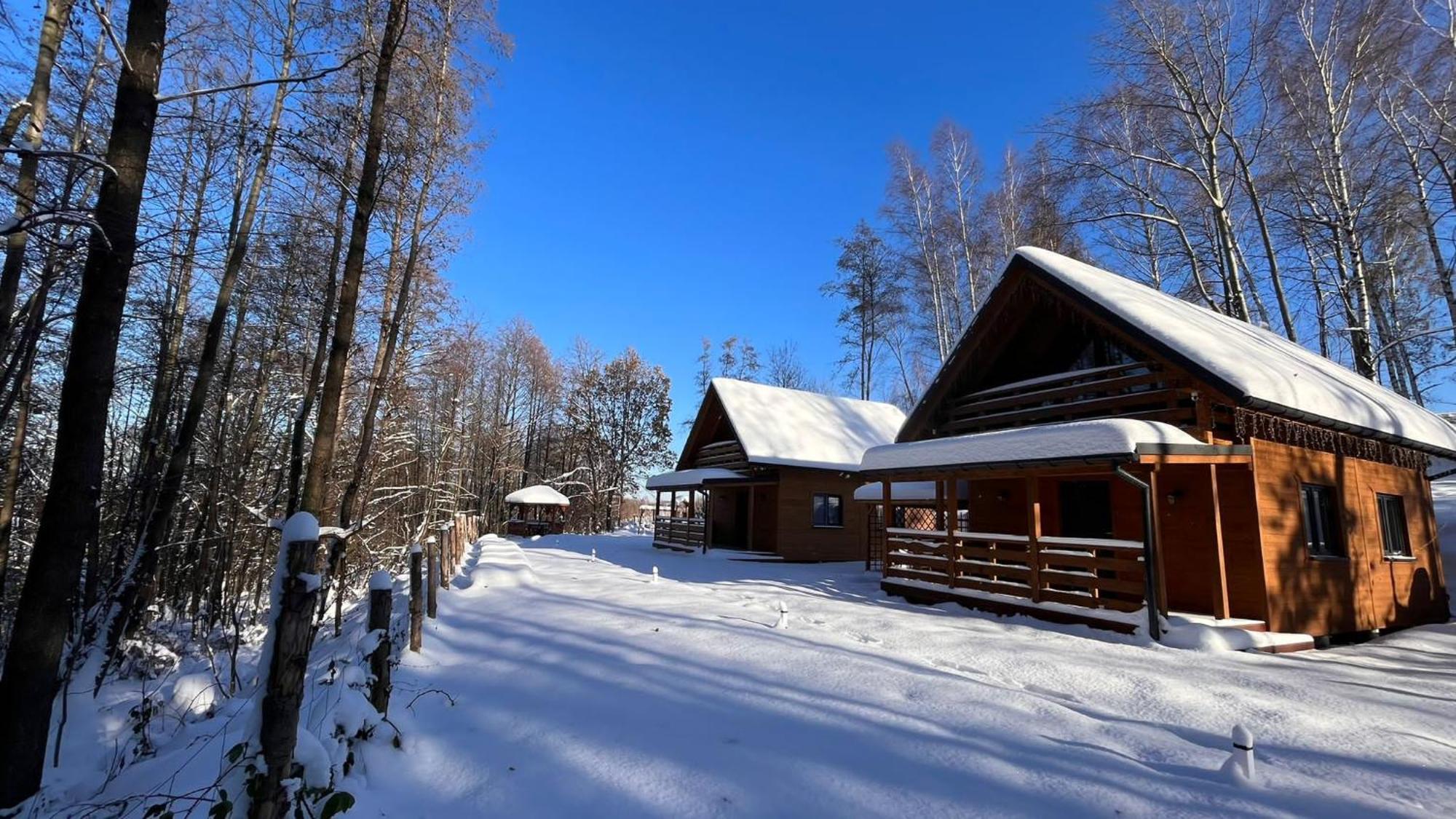 Las Lorien - Wynajem Domkow Letniskowych Villa Roczyny Exterior photo