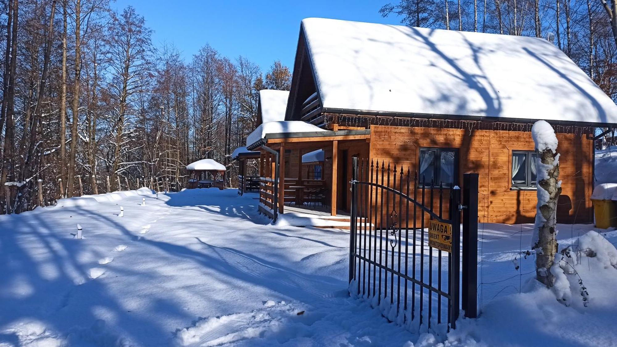 Las Lorien - Wynajem Domkow Letniskowych Villa Roczyny Exterior photo