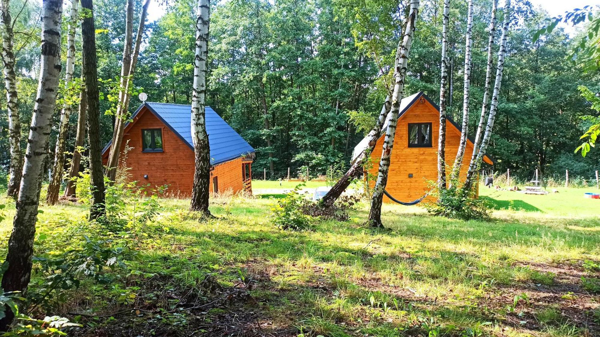 Las Lorien - Wynajem Domkow Letniskowych Villa Roczyny Exterior photo