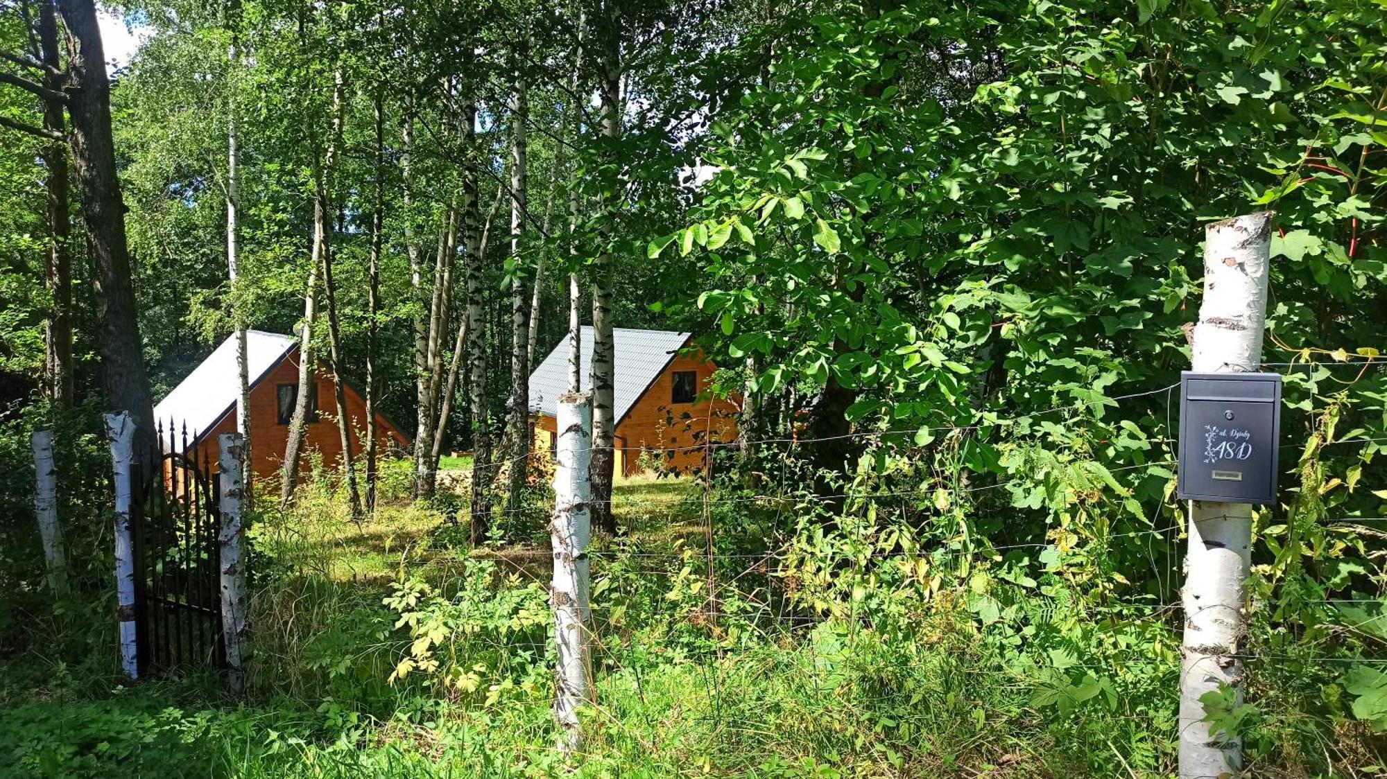 Las Lorien - Wynajem Domkow Letniskowych Villa Roczyny Exterior photo