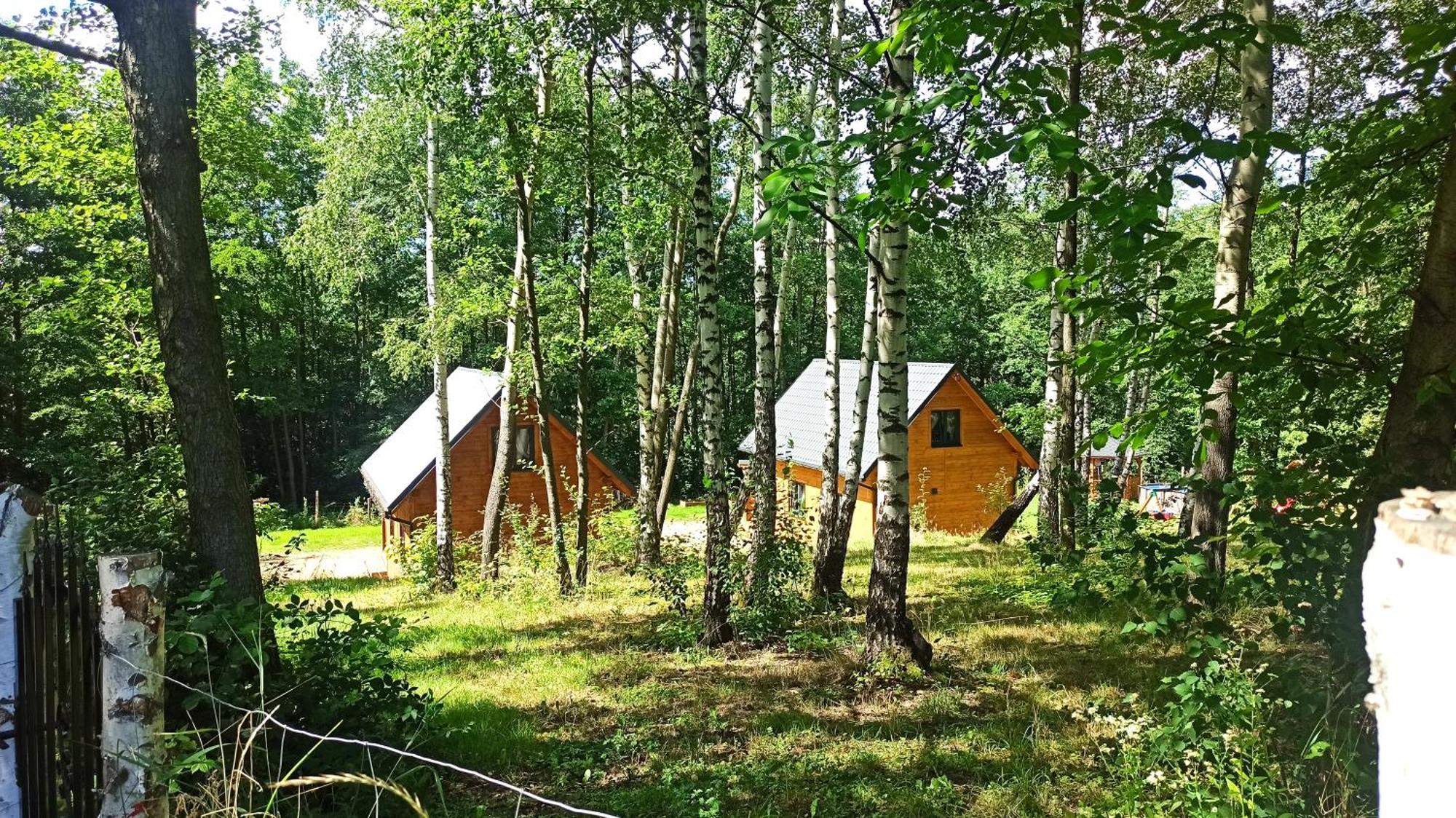 Las Lorien - Wynajem Domkow Letniskowych Villa Roczyny Exterior photo