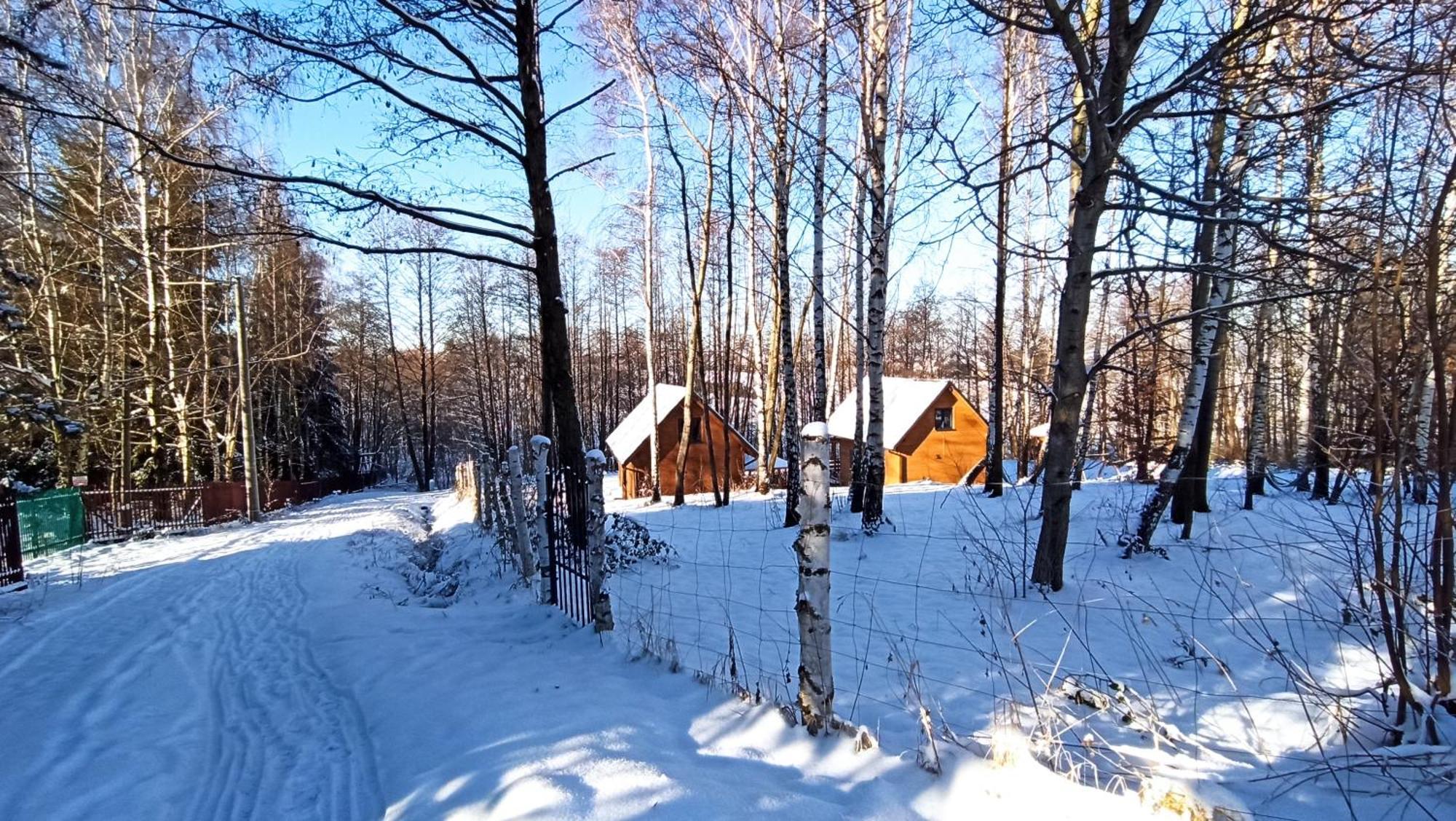 Las Lorien - Wynajem Domkow Letniskowych Villa Roczyny Exterior photo