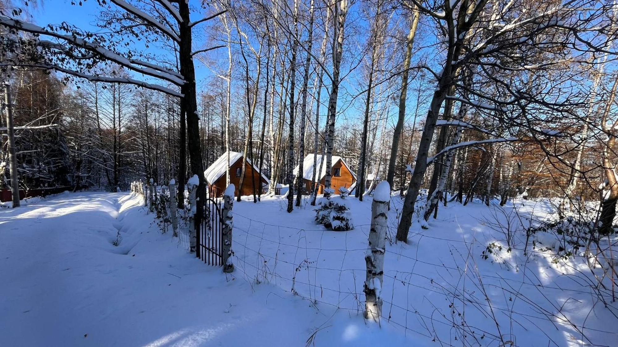 Las Lorien - Wynajem Domkow Letniskowych Villa Roczyny Exterior photo