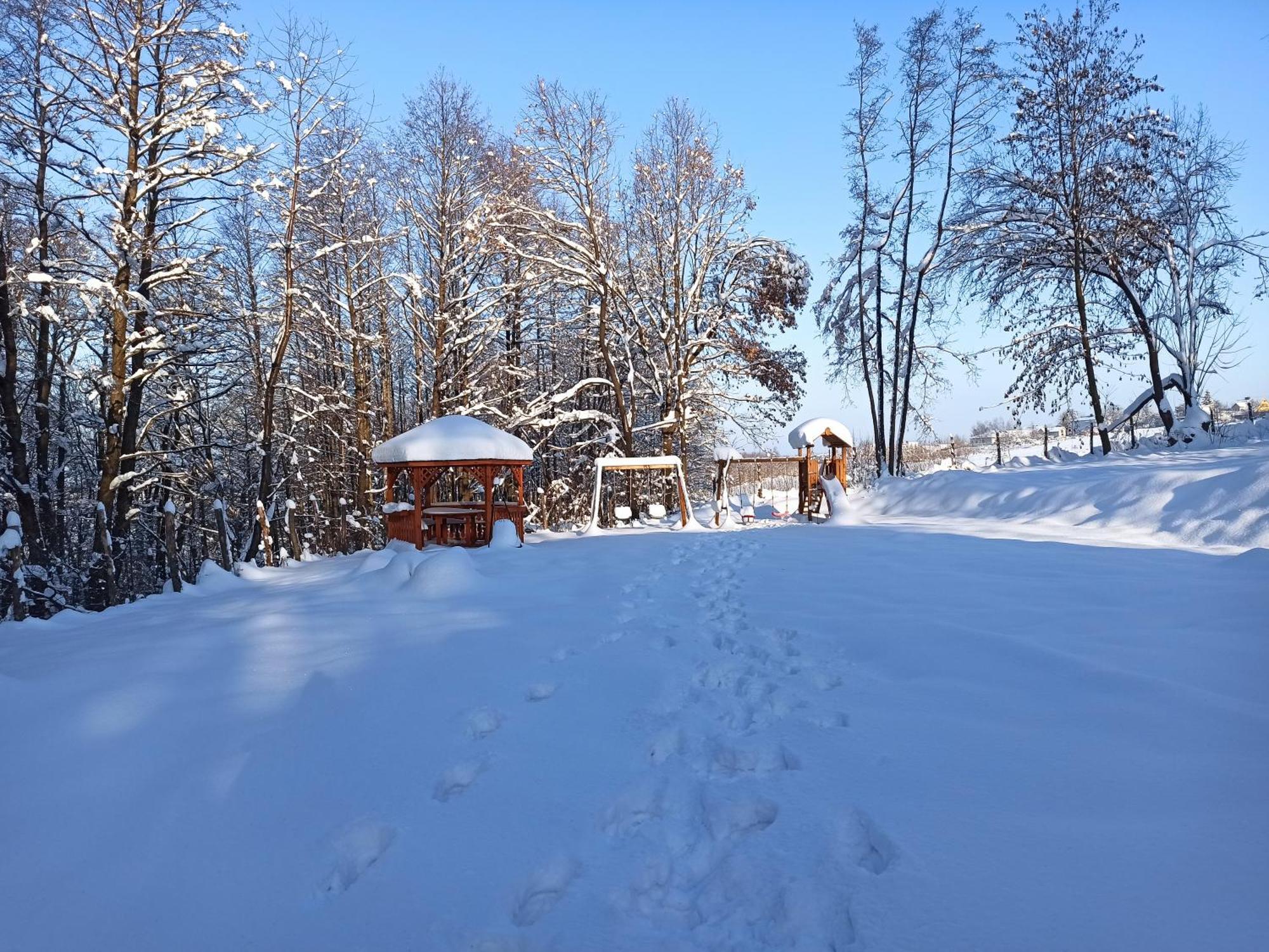 Las Lorien - Wynajem Domkow Letniskowych Villa Roczyny Exterior photo