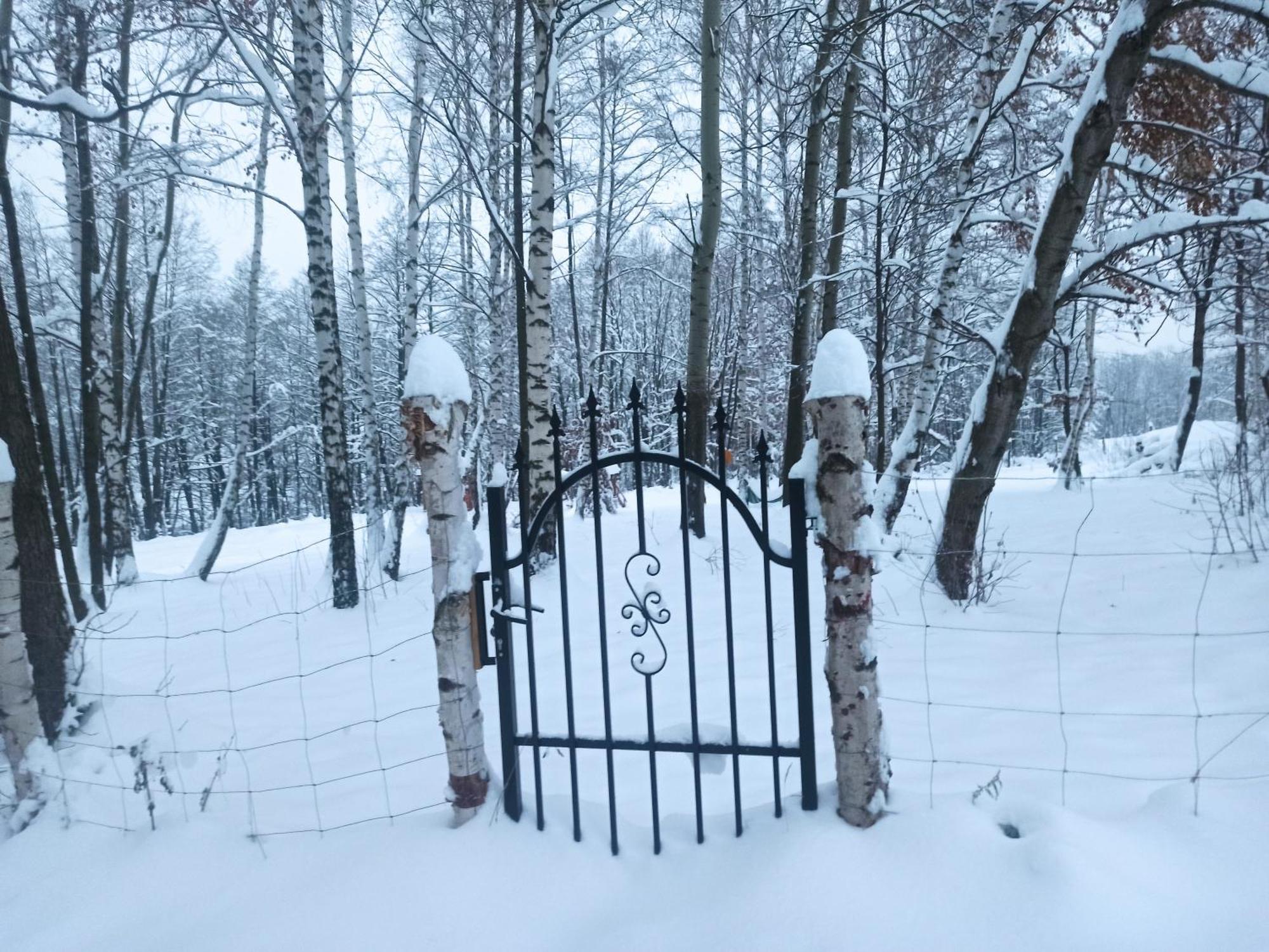 Las Lorien - Wynajem Domkow Letniskowych Villa Roczyny Exterior photo